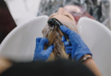 The Ultimate Guide to Professional Wigs Reconditioning Services